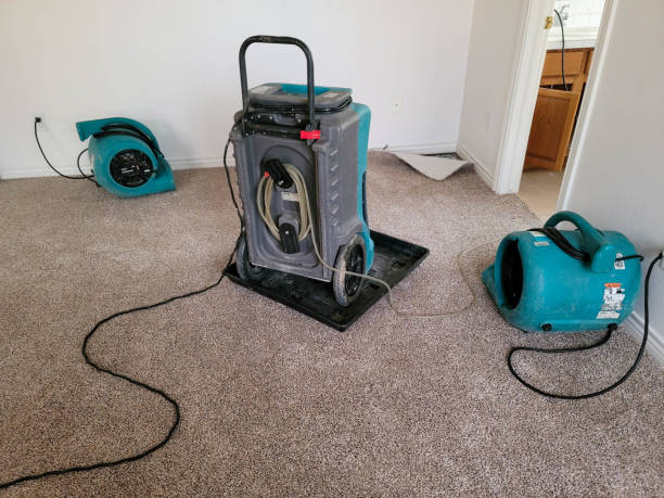 Best Ceiling water damage repair  in North Rock Springs, WY